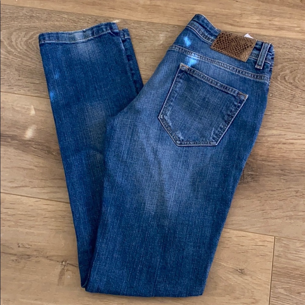 Zara Distressed Denim